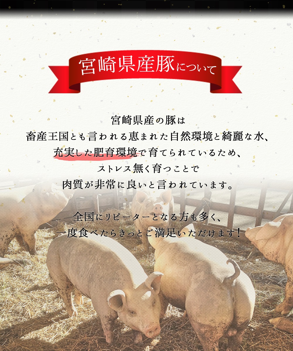 宮崎県産豚ロース しゃぶしゃぶ用 計3kg 6回定期便 通販