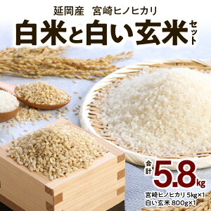 yӂ邳Ɣ[Łz{qmqJ Y  5kg  800g Zbg v 5.8kg ӂ   c S  qmqJ lC uh       ٓ ɂ