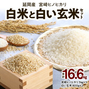 yӂ邳Ɣ[Łz{qmqJ Y  5kg × 3  800g × 2 Zbg v 16.6kg ӂ  c S  qmqJ lC uh       ٓ 