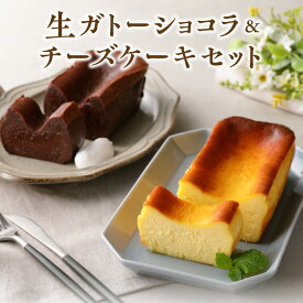 【ふるさと納税】生ガトーショコラ & チーズケーキ セット