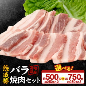 【ふるさと納税】宮崎県産 熟成豚 バラ焼肉セット 約250g 選べる セット 2個 3個 豚肉 厳選 独自の技術 歯切れがよい 豚バラ バラ肉 熟成 肉味 冷凍 おかず 炒め物 焼肉 鏡山牧場 お取り寄せ 宮崎県 延岡市 送料無料