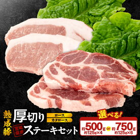 【ふるさと納税】宮崎県産 熟成豚 厚切り ステーキセット カタロース ステーキ ロースステーキ 約125g 選べる セット 2個 3個 豚肉 厳選 独自の技術 歯切れがよい 豚ステーキ 熟成 肉味 冷凍 鏡山牧場 お取り寄せ 宮崎県 延岡市 送料無料
