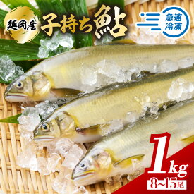 【ふるさと納税】【先行予約】2026年11月発送開始 子持ち 鮎 魚介類 魚 1kg 8尾 〜 15尾 入り 海産物 国産 延岡産 子持ち鮎 急速冷凍 小分け 個包装 一尾ずつ 上品 味わい 塩焼き 鮎めし レシピ付 松本水産 お取り寄せ お取り寄せグルメ 宮崎県 延岡市 送料無料