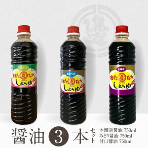 yӂ邳Ɣ[Łzݖ hgݖ Bݖ 750ml 3{ Zbg v 2250ml {ݖ Ìݖ ݂ǂݖ Y BY y  2N s Y  Hi 哤 n粖Xݖ