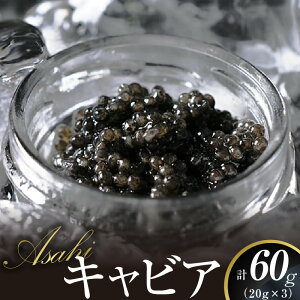 yӂ邳Ɣ[ŁzLrA ASAHILrA 60g Y tbVLrA Lx  ʗ{B `EU   O  H 蕨 i j LO Ⓚ Hi Hi EO