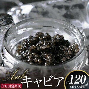 yӂ邳Ɣ[Łzy 6z LrA ASAHILrA v 120g 20g × 6 Y tbVLrA `EU   O  H 蕨 i j LO Ⓚ Hi Hi 