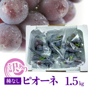 yӂ邳Ɣ[Łz󂠂 sI[l Ȃ [Ȃ Ԃǂ 5 1 1.5kg  召 }t {  ʕ t[c Y 񂹃t[c ①  {茧 s ct@~[