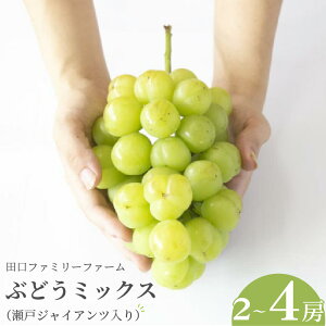 yӂ邳Ɣ[Łzct@~[t@[ Ԃǂ~bNXi˃WCAcj 2`4[  1.5kg ` 2kg