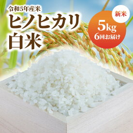 【ふるさと納税】米 定期便 計30kg 5kg × 6回 令和5年産 新米 ヒノヒカリ むかばき山 カームファム ふっくら お米 白米 おにぎり ご飯 弁当 お取り寄せ お取り寄せグルメ 送料無料 食品 食べ物 宮崎県 延岡市