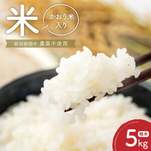 yӂ邳Ɣ[Łz 5kg  ƐY ͔|Ԓ _ sgp    uh  H АY   ɂ ނ ٓ ٓ ݂ Hi Hו {