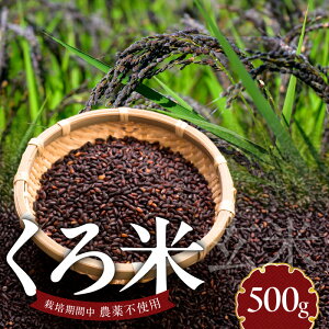 yӂ邳Ɣ[Łz  500g  ƐY ͔|Ԓ _ sgp ^[pbNz АY Hi Hו  ɂ ނ  ٓ  {_Y  {茧 s
