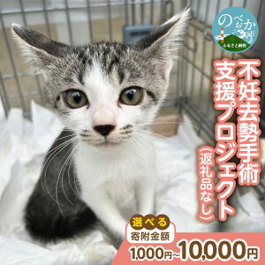 yӂ邳Ɣ[ŁzlƔL݂ɍKɂȂ܂ڎwāwsDpxvWFNgxiԗi͂܂j