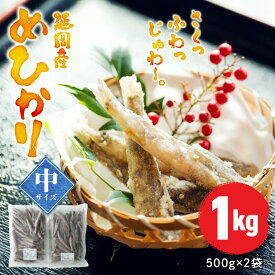 【ふるさと納税】延岡産 めひかり 無頭 中サイズ 500g × 2袋 計1kg 75尾前後 冷凍 国産 北浦漁港 小魚 魚 柔らかい 丸ごと 唐揚げ おつまみ おかず 九州 宮崎県 延岡市 お取り寄せ お取り寄せグルメ 送料無料