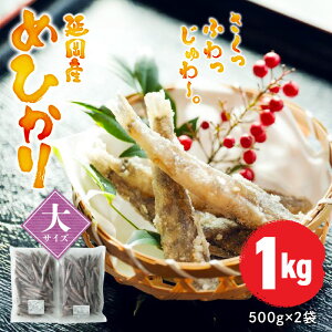yӂ邳Ɣ[ŁzY ߂Ђ  TCY 500g × 2 v1kg 50O Ⓚ Y kY`   _炩 ۂ g ܂  B {茧 s  񂹃O