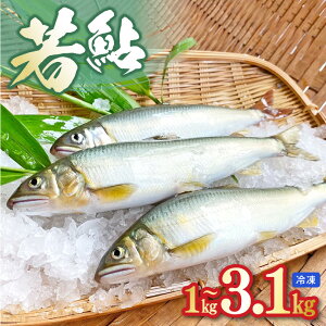 yӂ邳Ɣ[ŁzሼyⓀzeʑIׂ 1kg 3.1kg {茧 s 
