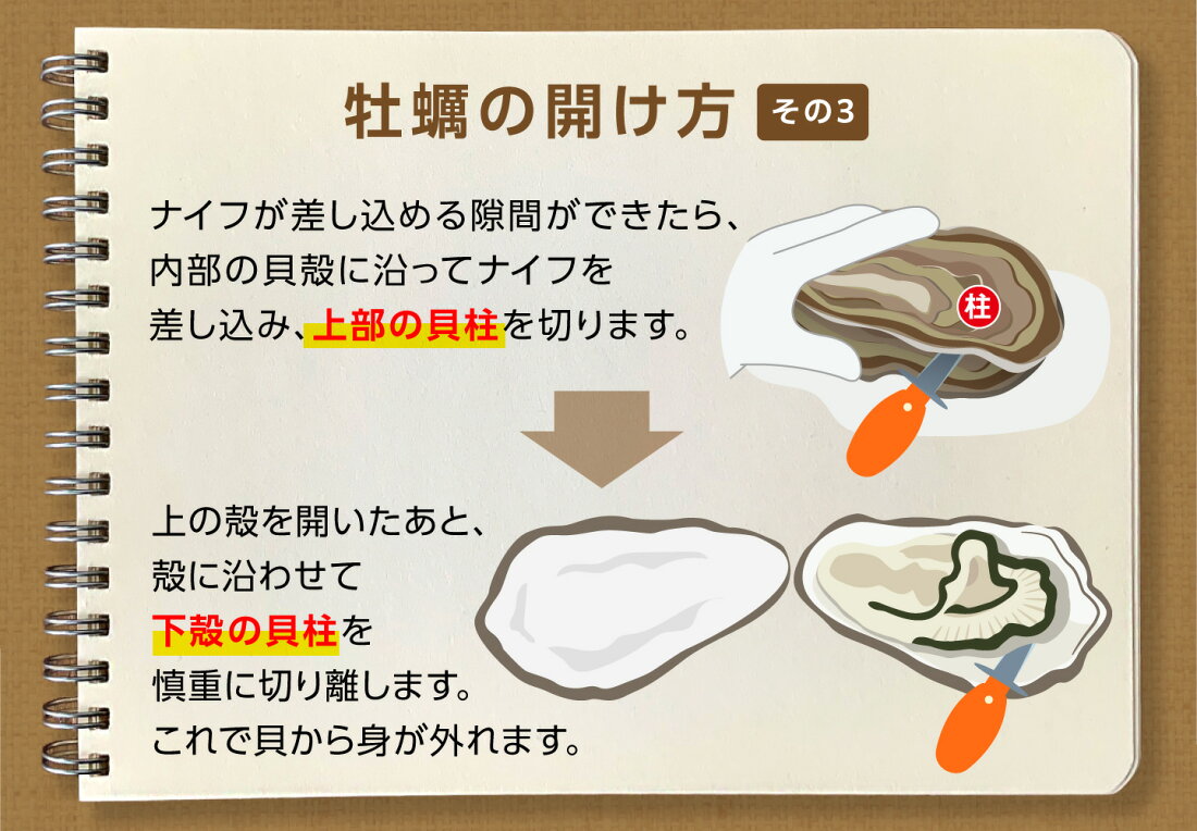 牡蠣 開け 方