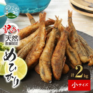 メヒカリ 魚の人気商品 通販 価格比較 価格 Com メヒカリ 魚の人気商品 通販 価格比較 価格 Com