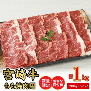 yӂ邳Ɣ[Łzʌ ֗  {苍  ēp 200g×5pbNv1kg