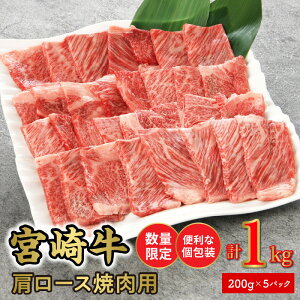 yӂ邳Ɣ[Łzʌ ֗  {苍[Xēp 200g×5pbN v1kg