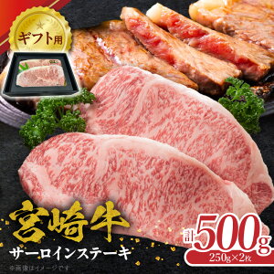 yӂ邳Ɣ[ŁzMtgp {苍 T[C Xe[L 250g × 2 500g Ⓚ {茧Y јa  4ȏ ]Ȏ Ȃ TV ׂ i  Ԑg | 蕨  O 