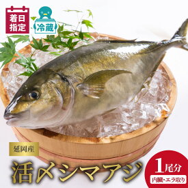【ふるさと納税】【最短14日後以降発送可】延岡産活〆鮮魚 職人技の脱血鮮魚 シマアジ 魚介 チルド冷蔵 旬 国産 宮崎県延岡市 送料無料 請関水産