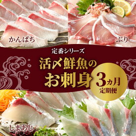 【ふるさと納税】定期便 3ヶ月 ぶり シマアジ カンパチ 柵 延岡産 活〆 鮮魚 真空パック 刺身 お刺身 しゃぶしゃぶ カルパッチョ 海鮮 魚 魚介類 厳選 新鮮 簡単 旬 チルド 冷蔵 解凍不要 国産 日向灘 宮崎県 延岡市 請関水産 お取り寄せ お取り寄せグルメ 送料無料