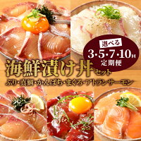 ふるさと納税 海鮮漬け丼 セット 定期便 回数 選べる 鮮度抜群 ぶり 真...