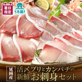 【ふるさと納税】【最短10日後以降発送可】刺身 延岡産 活〆 ブリ カンパチ 新鮮 お刺身 セット チルド 柵 国産 日向灘産 旬 鮮魚 海鮮 魚介類 冷蔵 食品 解凍不要 宮崎県 延岡市 請関水産 日向灘 お取り寄せ お取り寄せグルメ 送料無料