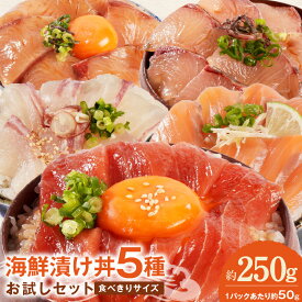 【ふるさと納税】海鮮漬け丼 5種 お試し セット 選べる 発送時期 請関水産 漬け丼 海鮮丼 冷凍 流水解凍 時短 料理 冷凍ストック ストック 簡単 プチ贅沢 ご飯 魚介 食品 加工品 魚 魚加工品 お取り寄せ お取り寄せグルメ 送料無料 宮崎県 延岡市