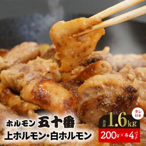yӂ邳Ɣ[Łzz z e4pbN v8pbN Zbg z܏\ ^t ؃n~ ؒ YΏ Ă o[xL[ BBQ tCpŊȒP   ֗ Ⓚ