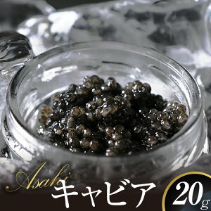 yӂ邳Ɣ[ŁzLrA ASAHILrA 20g Y tbVLrA Lx  ʗ{B `EU   O  H 蕨 i j LO Ⓚ Hi Hi EO