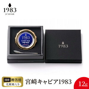 yӂ邳Ɣ[Łz{ LrA 1983 12g VFXv[ pϔ Y {i n tbVLrA Ǝ @ n `EU   O  H 蕨 i v[