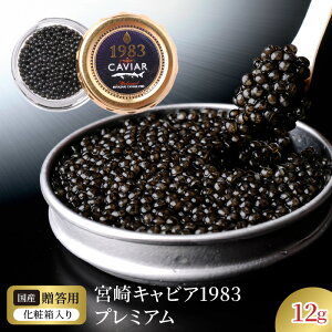yӂ邳Ɣ[Łz{ LrA 1983 v~A 12g VFXv[ pϔ Y {i n tbVLrA V`EU   O  H 蕨 i v[g