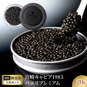 yӂ邳Ɣ[Łz{ LrA 1983 oG v~A 20g VFXv[ pϔ Y {i n tbVLrA VxA`EU   O 蕨 i v[g