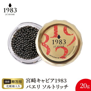 yӂ邳Ɣ[Łz{ LrA 1983 oG \gb` 20g VFXv[ pϔ Y {i n tbVLrA VxA`EU   O 蕨 i v[