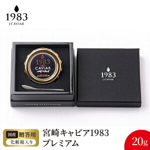 yӂ邳Ɣ[Łz{ LrA 1983 v~A 20g VFXv[ pϔ Y {i n tbVLrA V`EU   O  H 蕨 i v[g