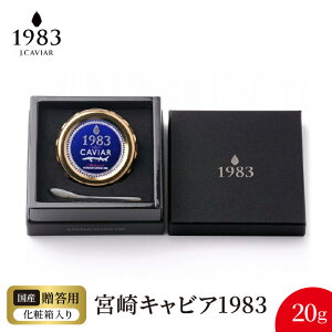 yӂ邳Ɣ[Łz{ LrA 1983 20g VFXv[ pϔ Y {i n tbVLrA Ǝ @ n `EU   O  H 蕨 i v[