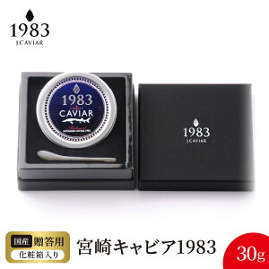 yӂ邳Ɣ[Łz{ LrA 1983 30g VFXv[ pϔ Y {i n tbVLrA Ǝ @ n `EU   O  H 蕨 i v[