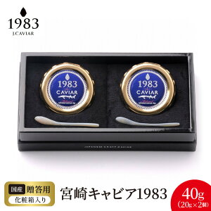 yӂ邳Ɣ[Łz{ LrA 1983 v 40g 20g × 2 VFXv[ pϔ Y {i n tbVLrA n `EU   O  蕨 i v[g