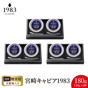 yӂ邳Ɣ[Łz{ LrA 1983 v 180g 30g × 6 VFXv[ pϔ Y {i n tbVLrA n `EU   O  蕨 i v[g