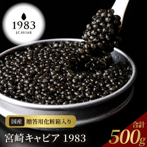 yӂ邳Ɣ[Łz{ LrA 1983 Zbg v 500g VFXv[ pϔ Y {i n tbVLrA n `EU   O  蕨 i v[g