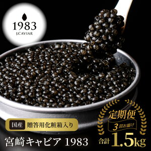 yӂ邳Ɣ[Łzy 3z { LrA 1983 v 1.5kg 500g × 3 VFXv[ pϔ Y tbVLrA n `EU   O 蕨 i v[gp 