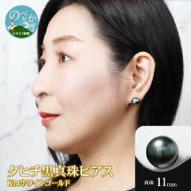 【ふるさと納税】タヒチ黒真珠 ピアス 真珠 11mm 14Kホワイトゴールド