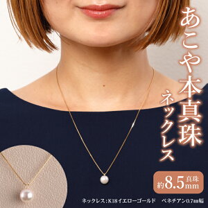 yӂ邳Ɣ[ŁzlbNX {^lbNX ^  8.5mm K18 CG[S[h ^ Vv p[  tH[} w Ǝ  Mtg ig  