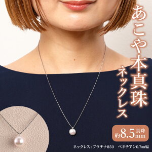 yӂ邳Ɣ[ŁzlbNX {^lbNX ^  8.5mm v`i850 1 ^ Vv p[  tH[} w Ǝ LO a Mtg  {茧 