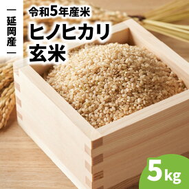 【ふるさと納税】延岡産 ヒノヒカリ 5kg 玄米 令和5年産米