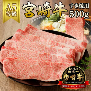 yӂ邳Ɣ[Łz{苍ėp500giA5j Y {茧s Ⓚ Mtg 