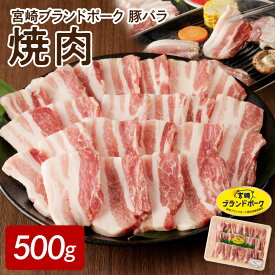 【ふるさと納税】宮崎ブランドポーク 豚バラ 焼肉 500g