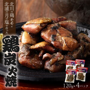 yӂ邳Ɣ[Łzŷׂ̉wzǩ{×kY̌̉ō{YΏ ̉@YΏā@120g@4pbN