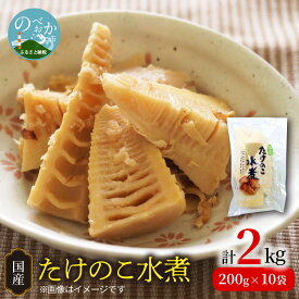 【ふるさと納税】国産 たけのこ 水煮 200g×10 計2kg